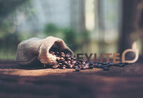 Bienvenidos a la nueva web de Deyute