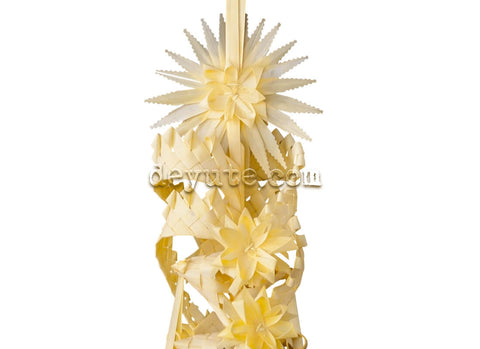 Palma blanca rizada IOTA detalle