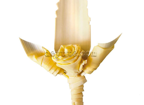 Palma de solapa IPSILON detalle