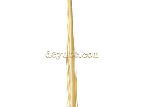 Palma lisa tradicional TAIPEI 101 detalle